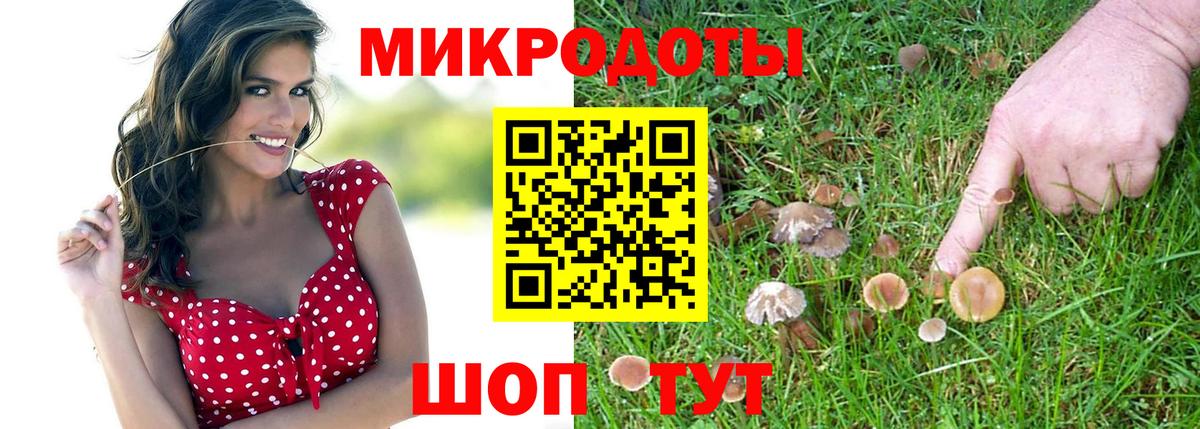 Галлюциногенные грибы ЛСД Владикавказ