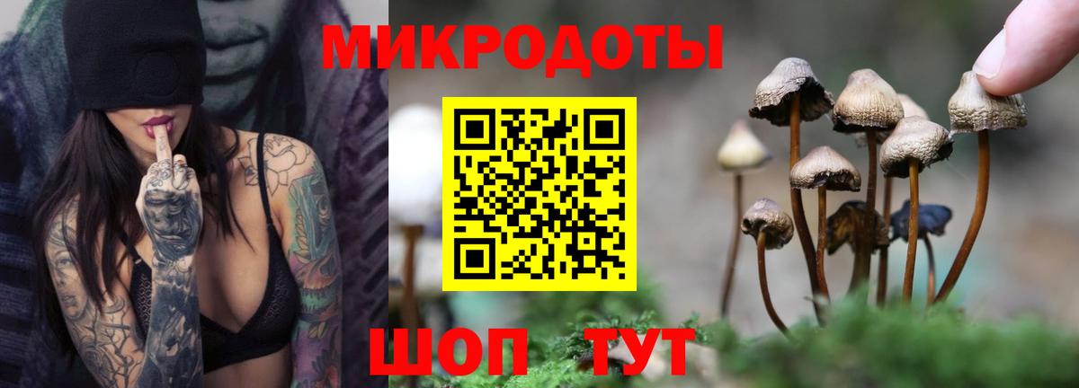 Владикавказ  Псилоцибиновые грибы ЛСД  Вход с VPN  Галлюциногенные грибы MAGIC MUSHROOMS 